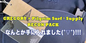 gregory_reconpack_pilgrim