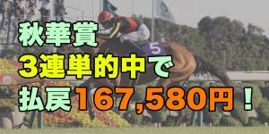 秋華賞2024 万馬券 3連単 的中 チェルヴィニア ボンドガール ステレンボッシュ