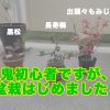 初心者 盆栽 小品盆栽 剪定 植え替え taiyo 貴志川町