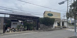 金久 泉佐野市 南大阪 盆栽 園芸 黒松 真柏 阪和線 kanekyu