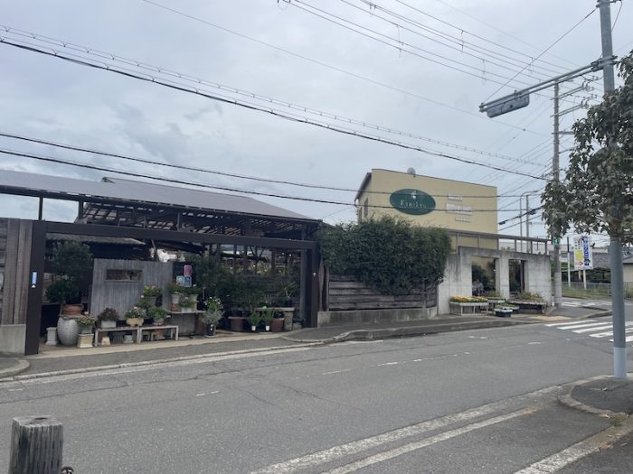 金久 泉佐野市 南大阪 盆栽 園芸 黒松 真柏 阪和線 kanekyu