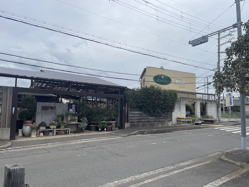 金久 泉佐野市 南大阪 盆栽 園芸 黒松 真柏 阪和線 kanekyu