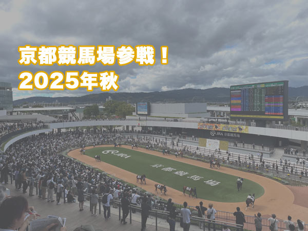 京都競馬場 JRA 中央競馬 スワンステークス 2025年 淀