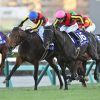 競馬 有馬記念 2025 予想 穴馬 レガレイラ ダノンデサイル ミュージアムマイル ロイヤルファミリー