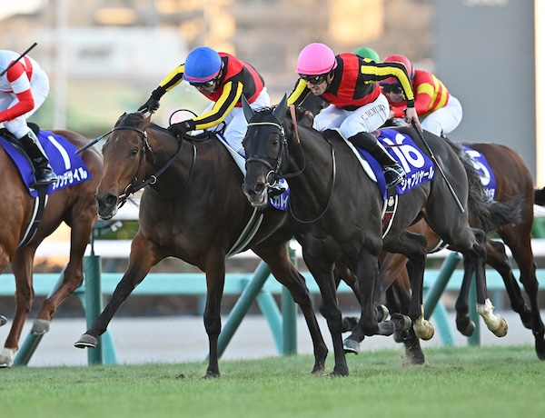 競馬 有馬記念 2025 予想 穴馬 レガレイラ ダノンデサイル ミュージアムマイル ロイヤルファミリー