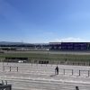 京都競馬場 B指定席 競馬 馬券 駐車場 サウナ ルーマプラザ