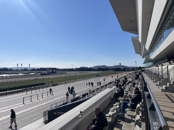 京都競馬場 淀競馬場 競馬 馬券 予想 万馬券 的中 穴馬